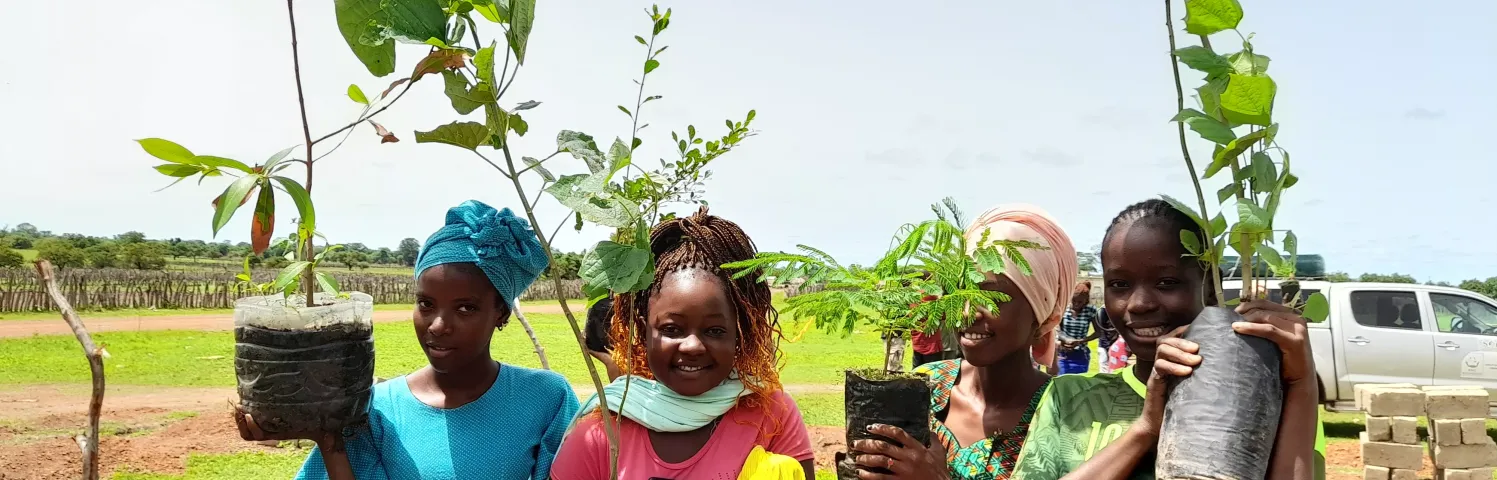 Réserve naturelle de Boundou, plantation d’une micro-forêt au Collège de Koussan (Sénégal)