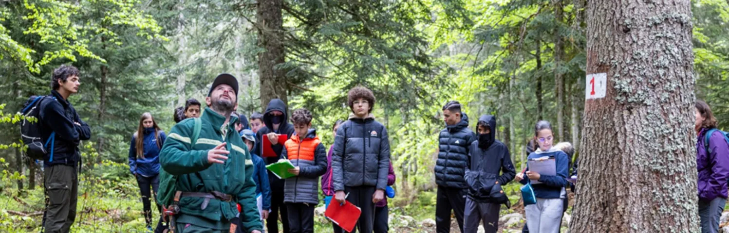 Le 25 mai dernier, des élèves de 4e du collège Henri-Wallon de Saint-Martin-d’Hères ont découvert une forêt du Vercors dans le cadre du dispositif Isère Collégiens.