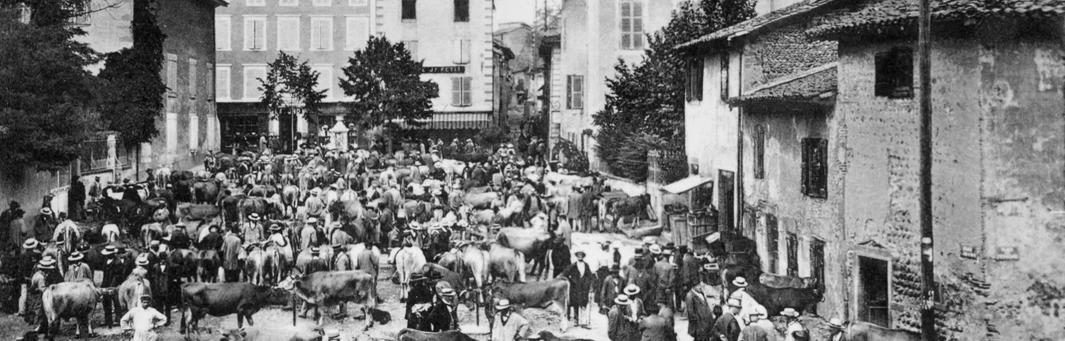 Foire aux bestiaux, à Beaurepaire, place Ferdinand-de-Barrin, au tout début du XXe siècle.