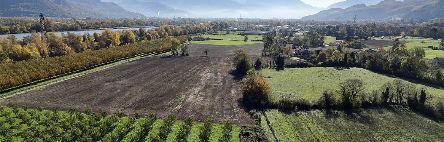 Des plantations de noyers ont été possibles à Sassenage grâce au PAEN (Protection des espaces agricoles et naturels périurbains).