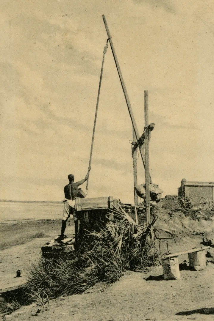Illustration 3