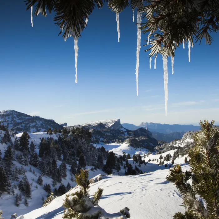 Illustration Réserve Naturelle Les Hauts Plateaux du Vercors