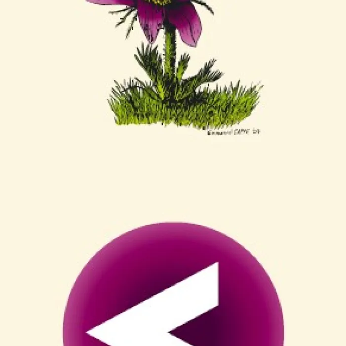 Illustration 1