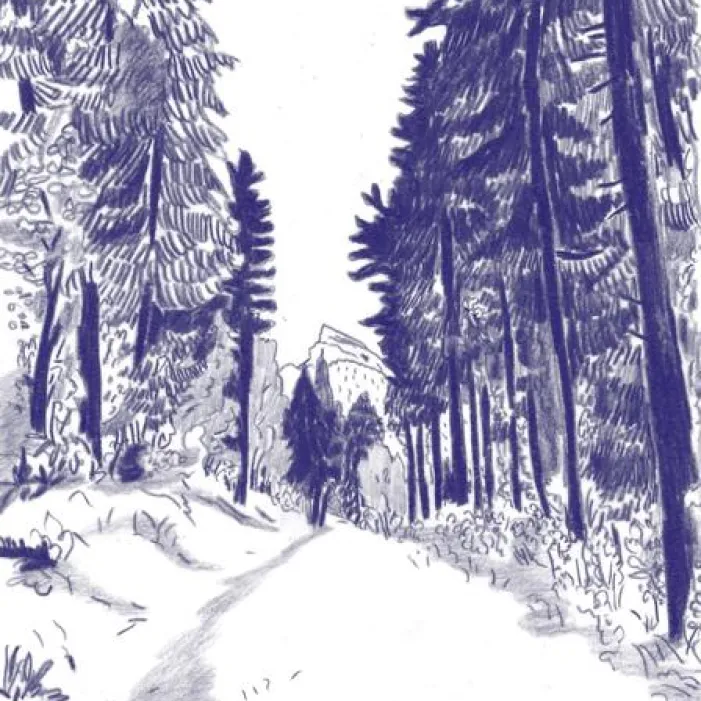 Illustration 1