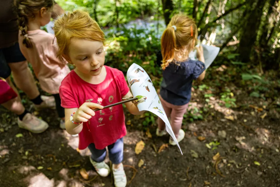 Photographie d'enfants dans la nature