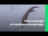 Film "Hiver sauvage et montagne en partage en Isère"